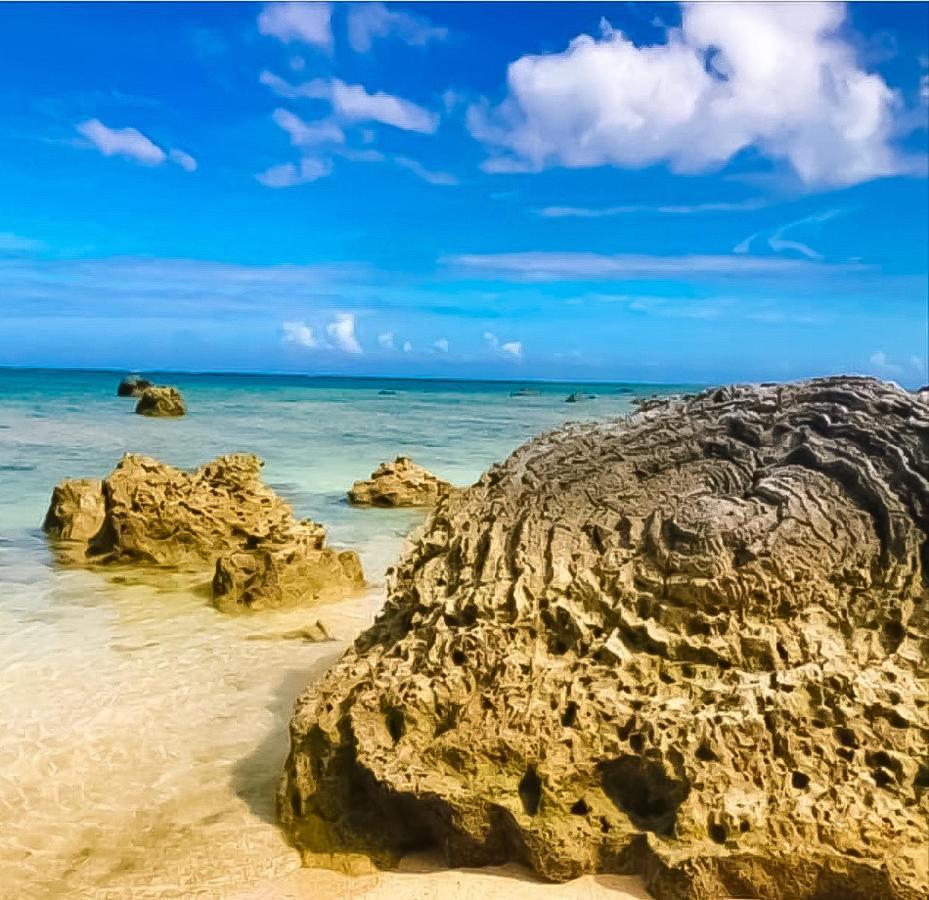 Palm Villa Ishigakijima Yugafu Ishigaki  Bagian luar foto